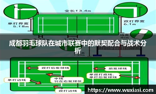 成都羽毛球队在城市联赛中的默契配合与战术分析